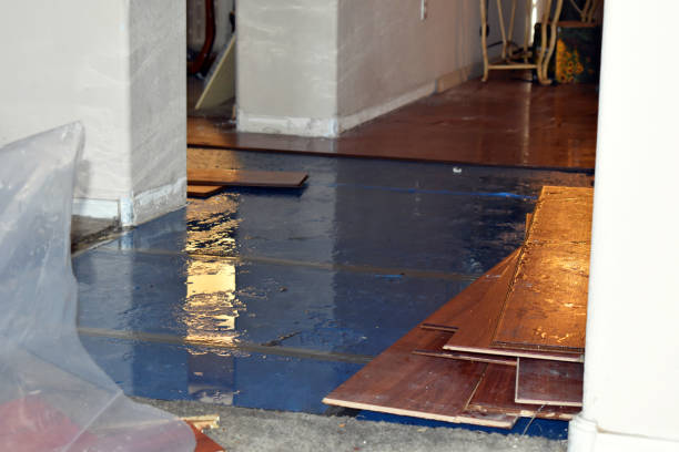 Professional Water Damage Restoration technician working in Bastrop, TX