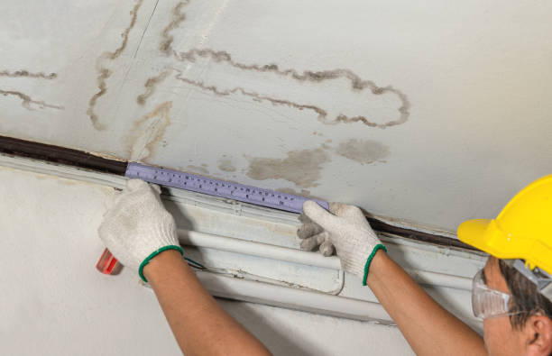Reliable Water Damage Restoration contractor in Bastrop, TX by Water Damage Irwin